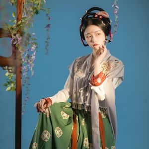 汉服：唐坦领内衣+外衣 Tang dynasty hanfu "Tanling" style top and outer jacket